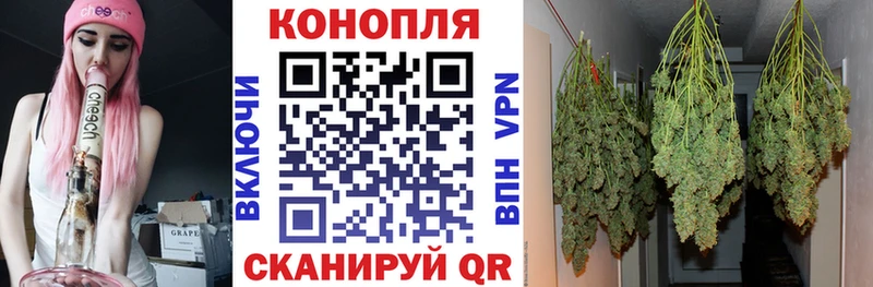 Купить наркотики сайты Иркутск Псилоцибиновые грибы  ГАШИШ  APVP  АМФЕТАМИН 