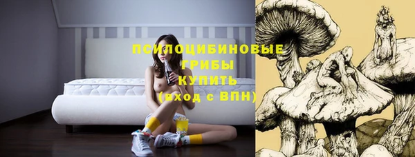 марки nbome Аркадак