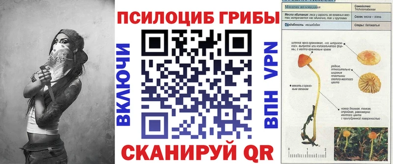 Галлюциногенные грибы Psilocybine cubensis  Иркутск 